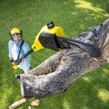 Best Lawn Mowing  in Pulaski, WI